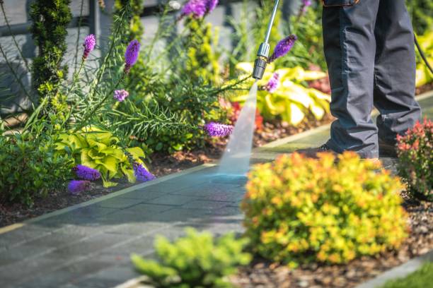 Best Dumpster Area Cleaning  in Clayton, NJ